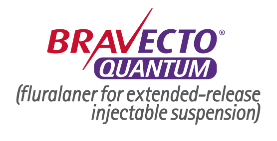 Bravecto Chews